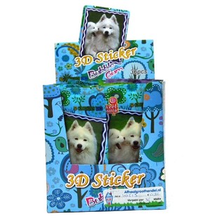 PEGATINA 3D CON CHICLE (36 uds.)