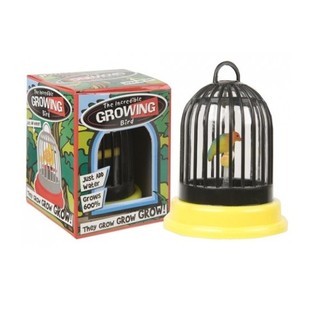 Pájaro Creciente en Jaula (24 uds.)