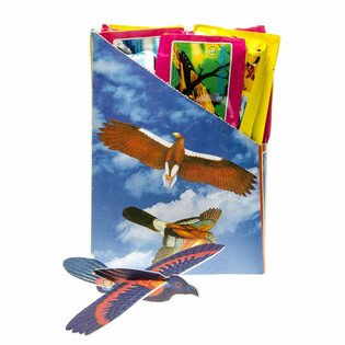 Aviones de espuma de pájaros en expositor (48 uds.)